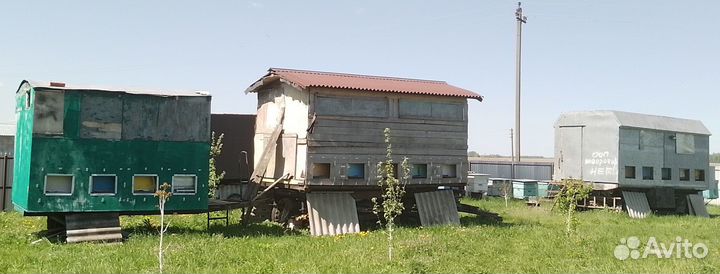 Пасека. Пчелопавильон. Мобильная пасека. Апидомик