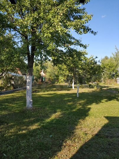 Участок 6,4 сот. (СНТ, ДНП)