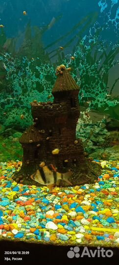 Аквариум с рыбками бу