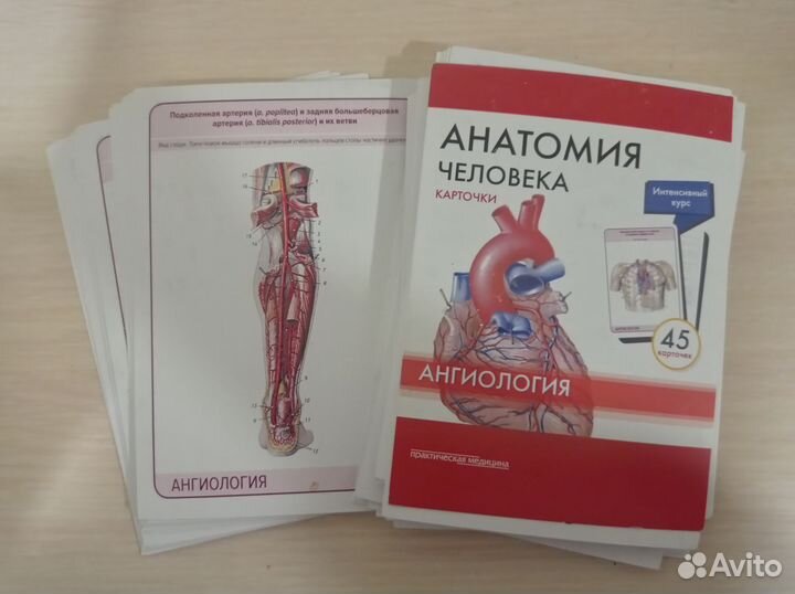 Анатомия Карточки Ангиология