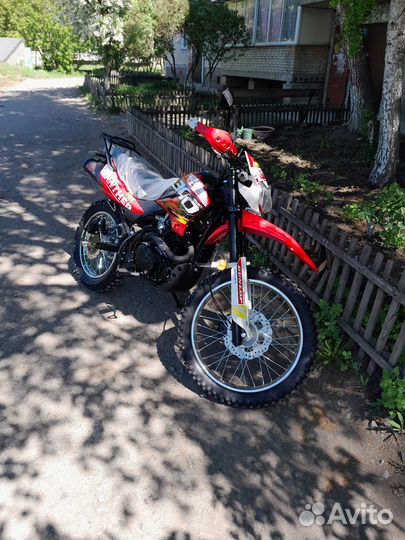 Racer Panther 300