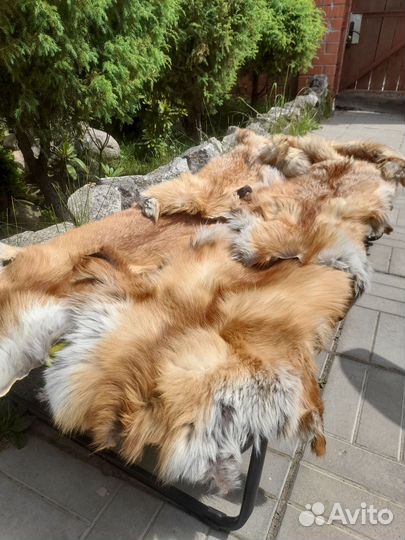 Лисьи шкуры