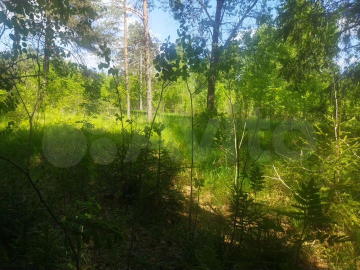 Участок 5,6 га (ИЖС)