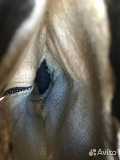 Сапоги яловые для лётного состава ввс