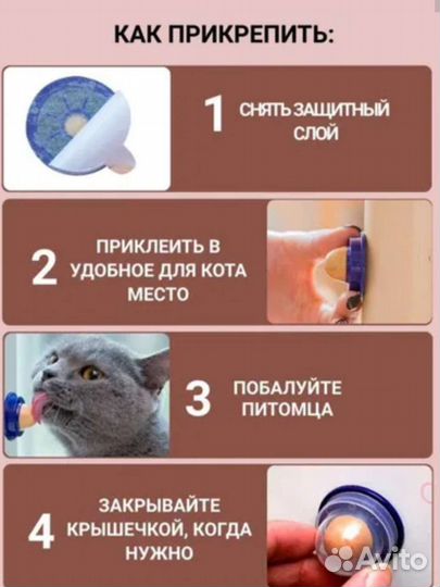 Кошачий мятный леденец/ Кошачья мята