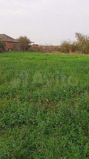 Участок 24 сот. (ИЖС)