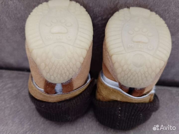 Обувь для собак