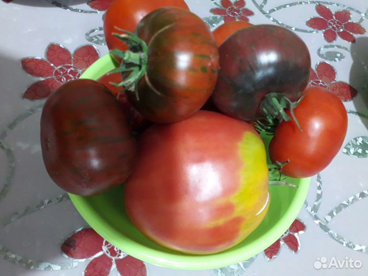 Помидоры свежие домашние