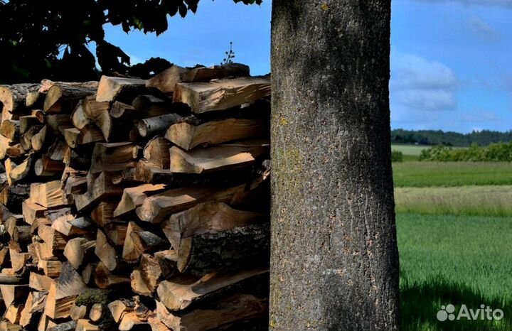 Дрова с Приозерска