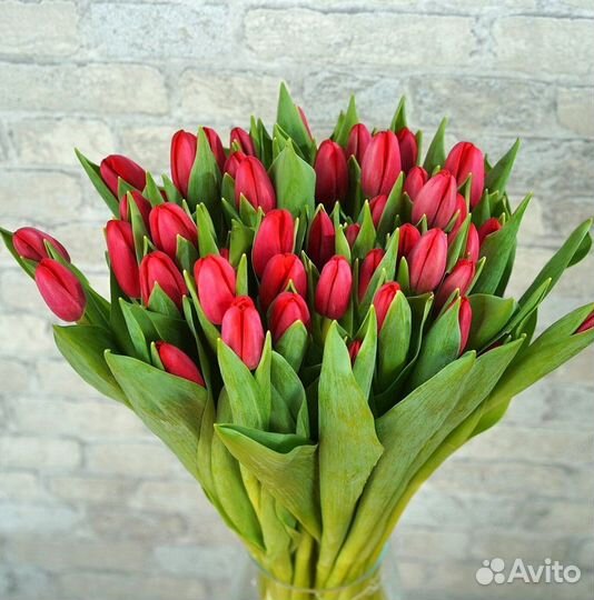 Букет из красных тюльпанов к 8 марта 111шт