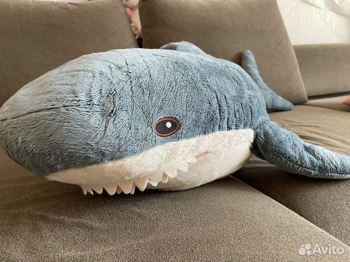 Акула из икеи, IKEA, блохэй