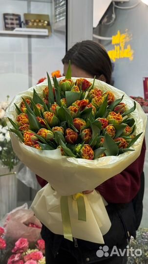 Тюльпаны опт и розница