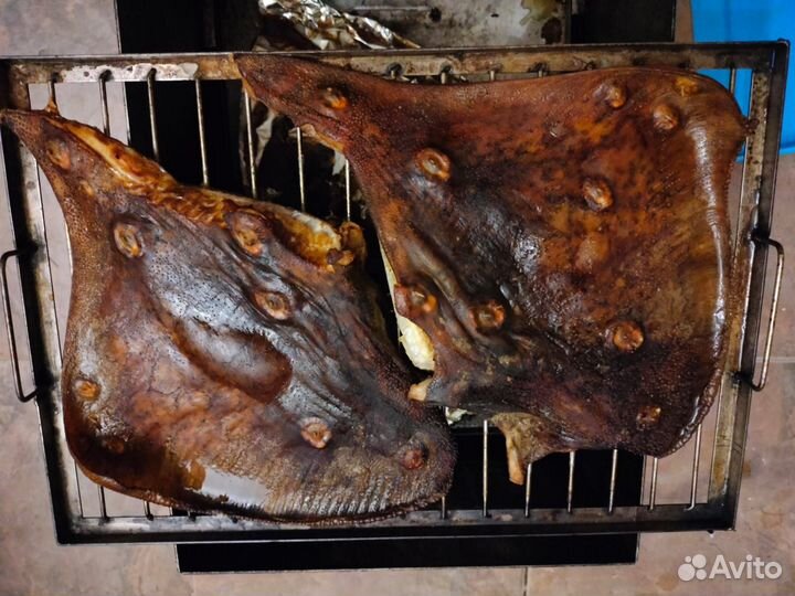 Рыбалка VIP на крупную рыбу. Экскурсии