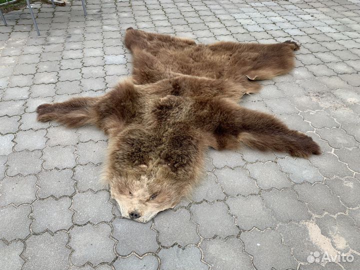 Шкура медведя имитация