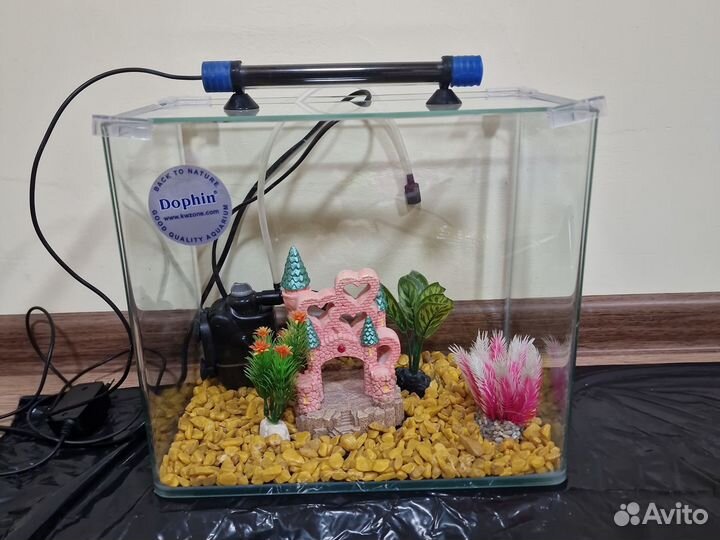 Аквариумы б/у с наполнением по желанию