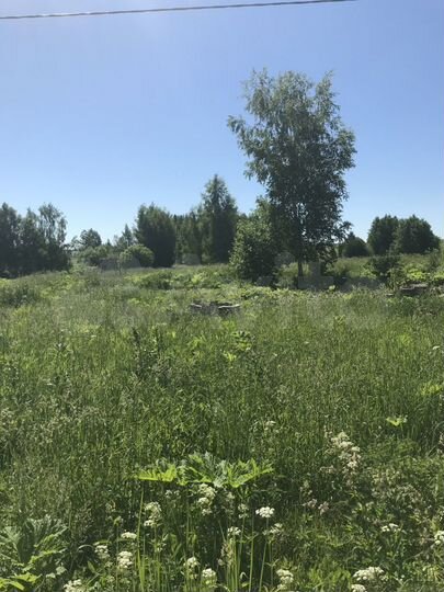 Участок 25 сот. (ИЖС)