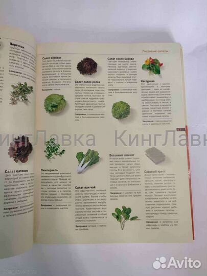 Все салаты с илл. 320с