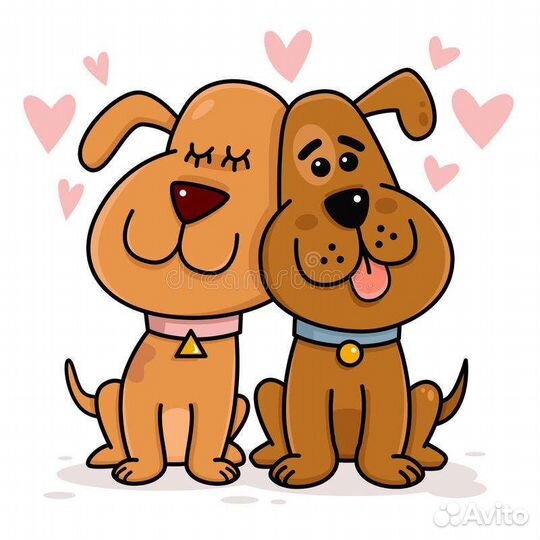 Инструктор по вязке собак