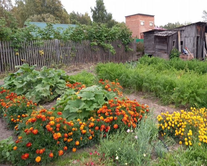 Участок 7,5 сот. (ИЖС)