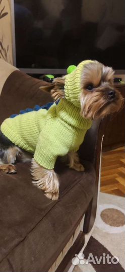 Комплект для йорка и других пород