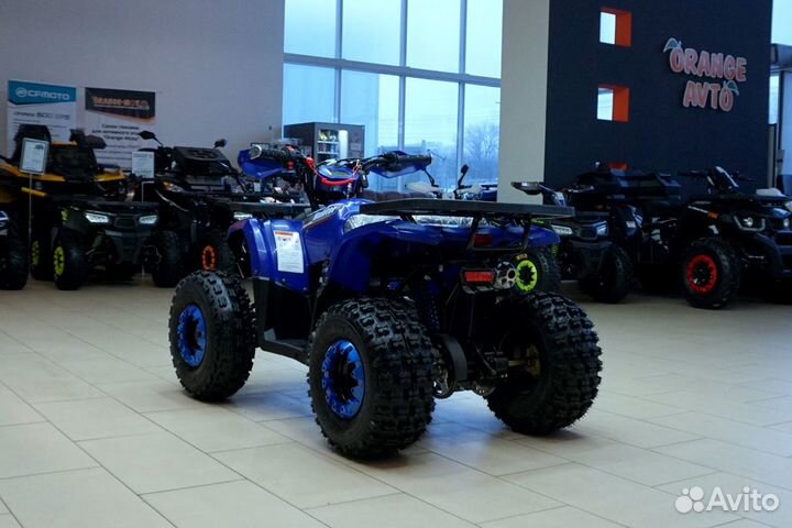 Avantis Hunter 8 New