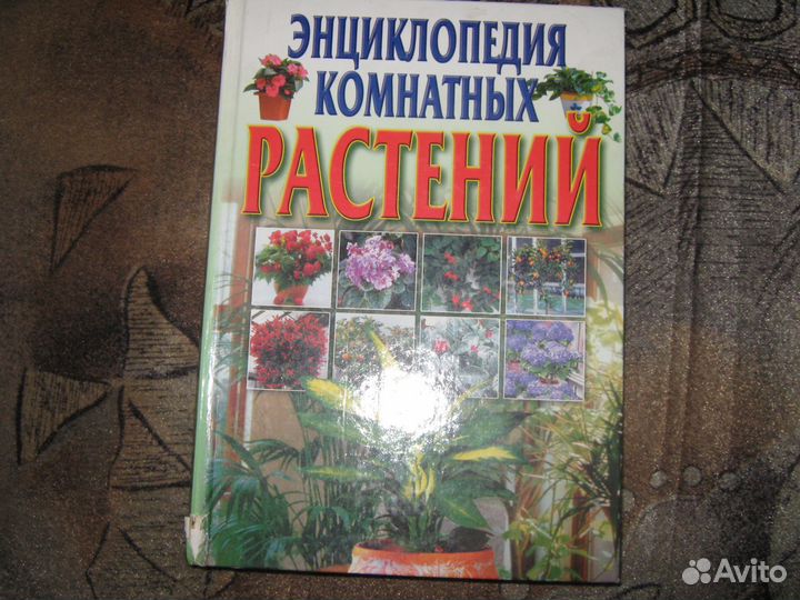 Энциклопедия комнатных растений