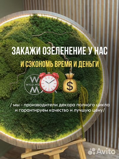 Панно, картина из стабилизированного мха и амарант