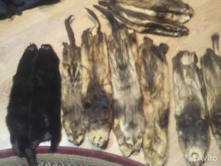 Шкуры животных