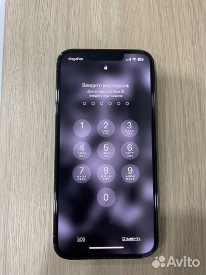iPhone 13 Pro, 256 ГБ