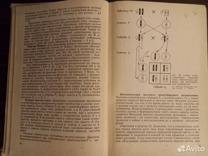 Учебник Генетика с основами селекции Лобашев 1979