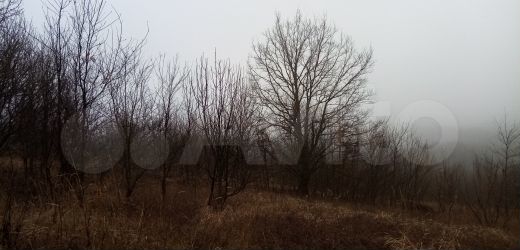 Участок 5,8 сот. (СНТ, ДНП)