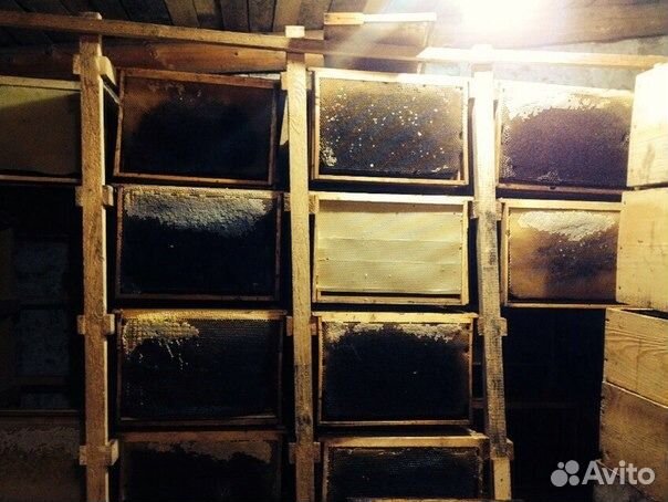 Рамки с сушью