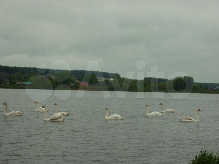 Участок 550 га (СНТ, ДНП)