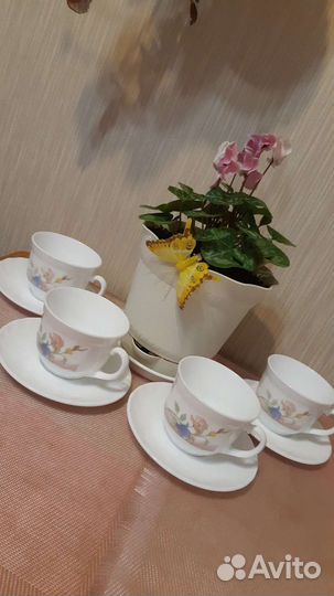 Чайные пары