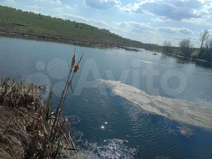 Участок 64 сот. (ИЖС)