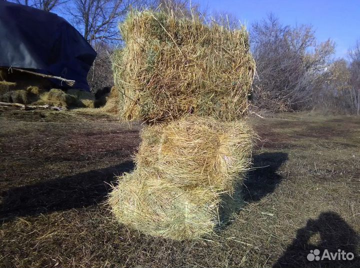 Сено в тюках