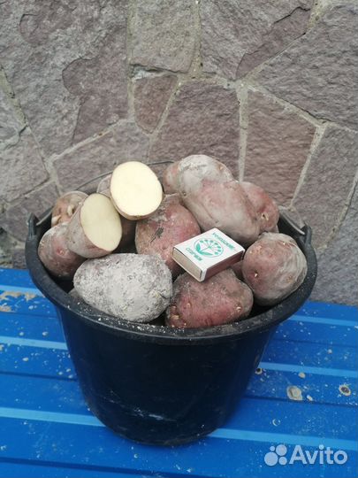 Продукты питания