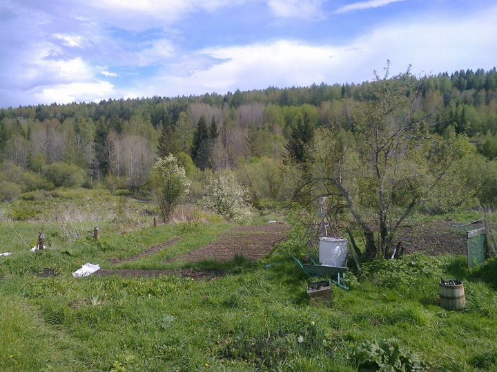 Дом 50 м² на участке 15 сот.