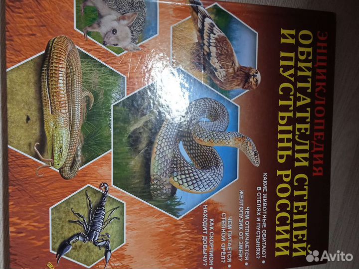 Книги сказки