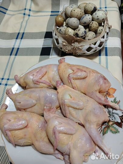 Мясо перепелки