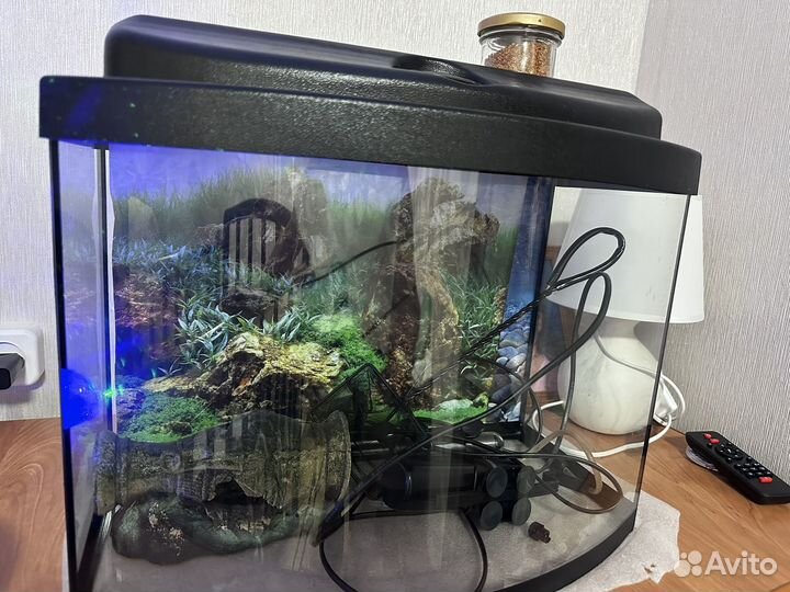 Аквариум