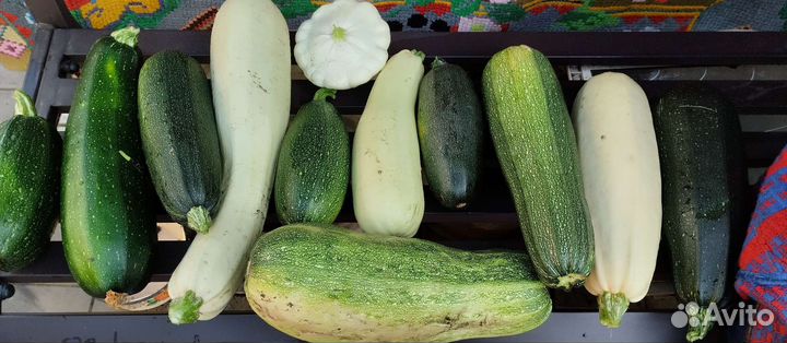 Кабачки, помидоры, огурцы, капуста, яблоки
