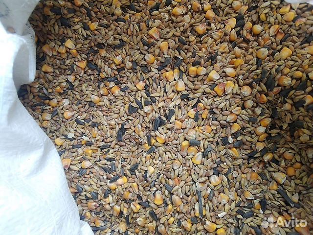 Зерно смесь дробленка, целая