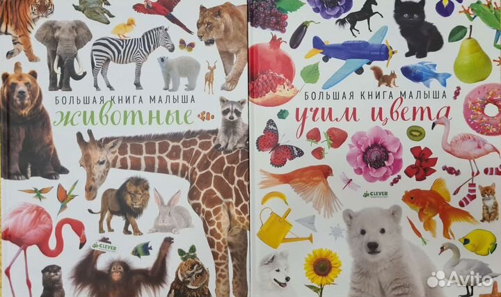 Книги детские Найди и покажи Clever