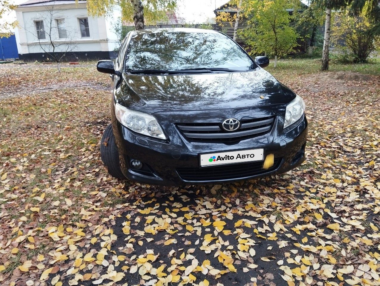 Toyota Corolla: фото владельца