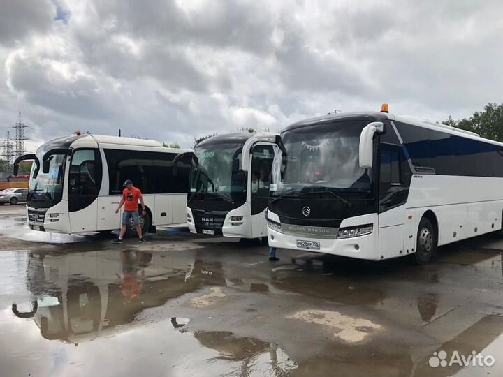 Аренда автобуса вектор next