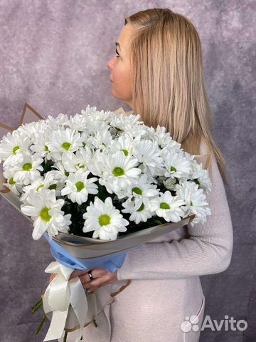 Цветы. Хризантемы с доставкой