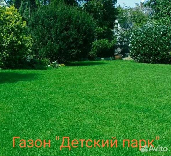 Семена газонной травы