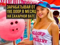 Продам готовый бизнес: игрушки из сахарной ваты