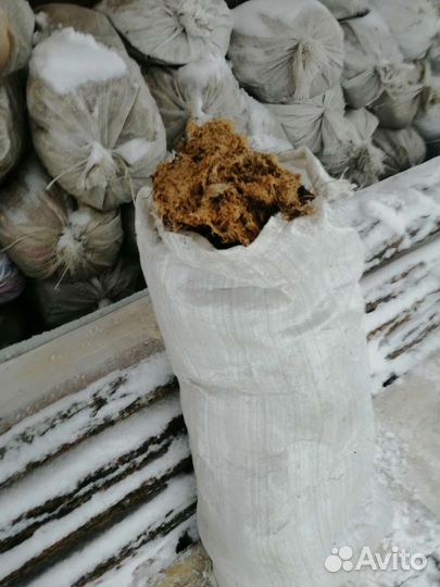 Утеплитель мох